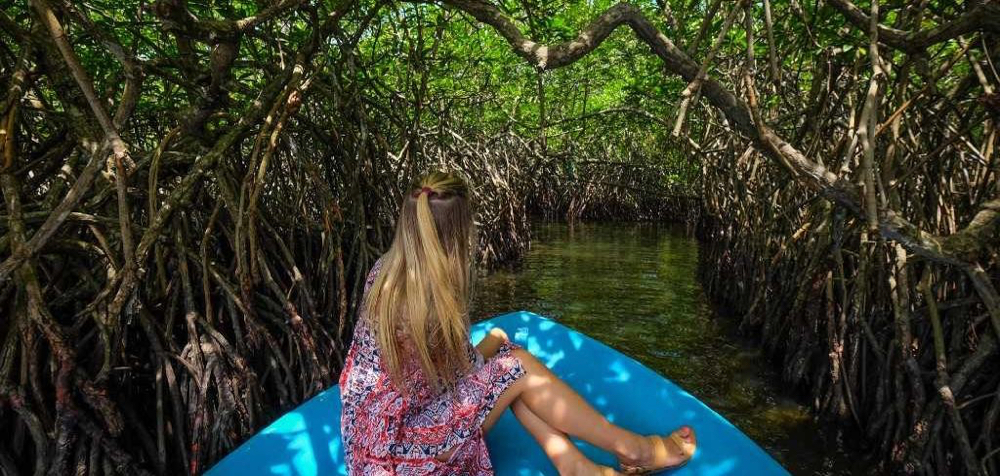 Balapitiya river cruise