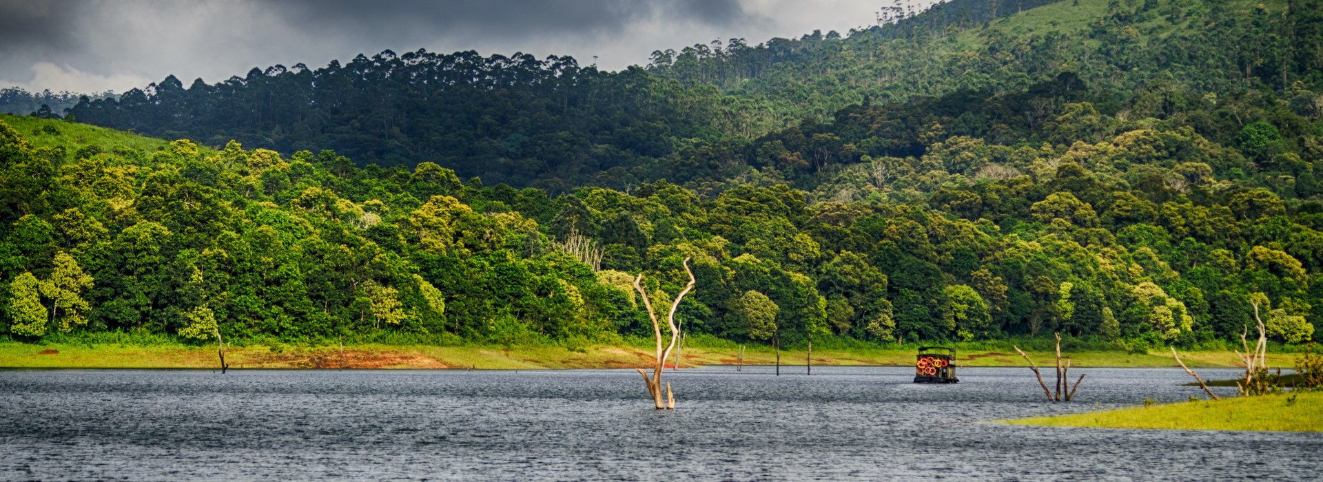 Thekkady - Kerala - India