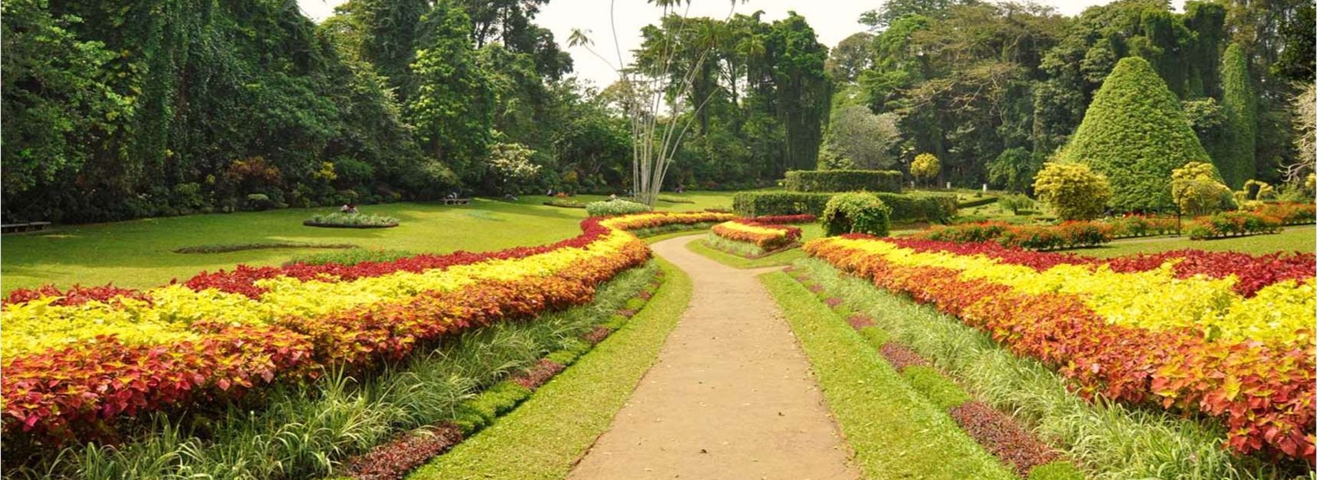 Sri Lanka Luxury Holiday Packages 